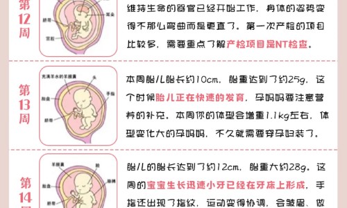 鸡蛋炒什么营养成分网鸡蛋炒西红柿怎么炒知识网站,分享鸡蛋炒西红柿的步骤大全